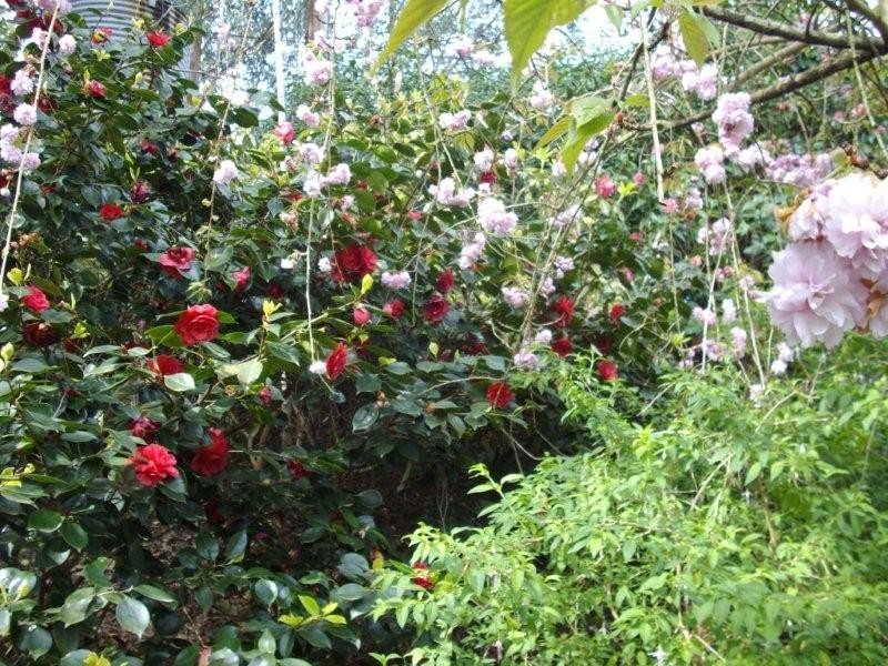 Lot 25 Basket Range Road, Uraidla SA 5142