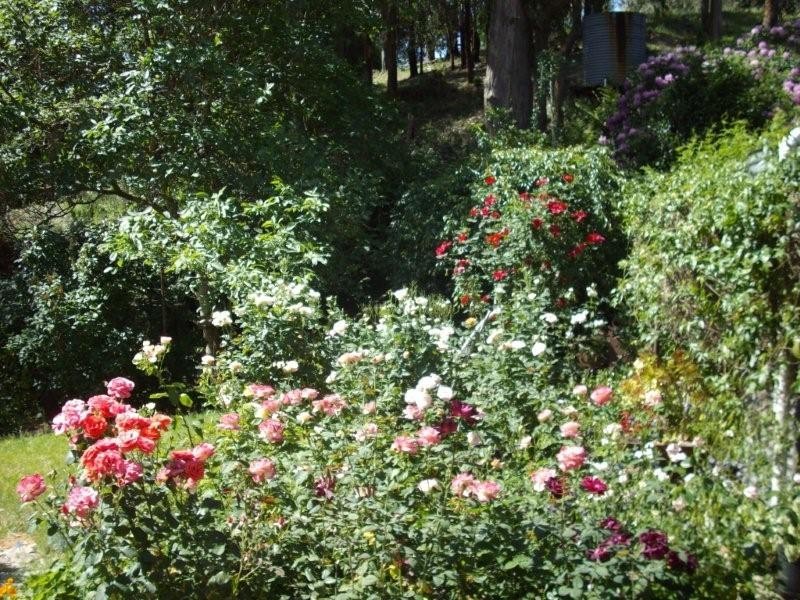 Lot 25 Basket Range Road, Uraidla SA 5142