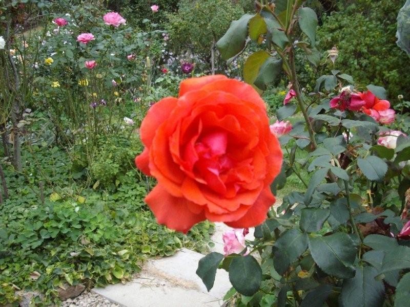 Lot 25 Basket Range Road, Uraidla SA 5142