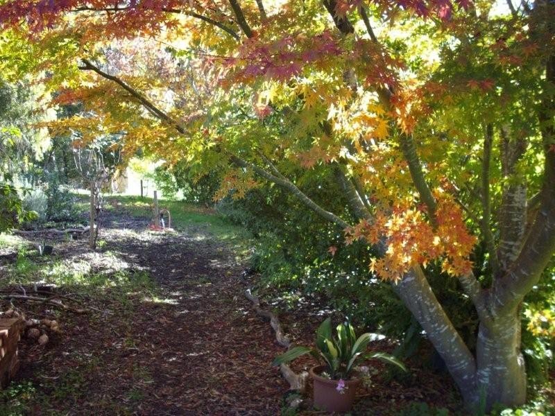 Lot 25 Basket Range Road, Uraidla SA 5142