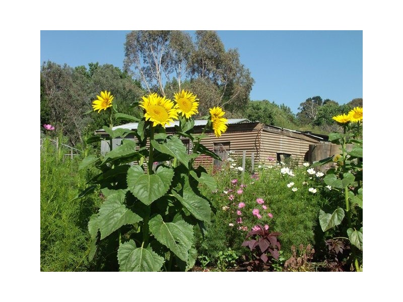 31 Onkaparinga Valley Road, Verdun SA 5245