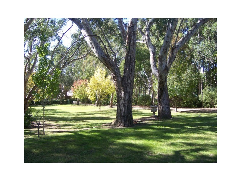 4 Pochin Street, Macclesfield SA 5153