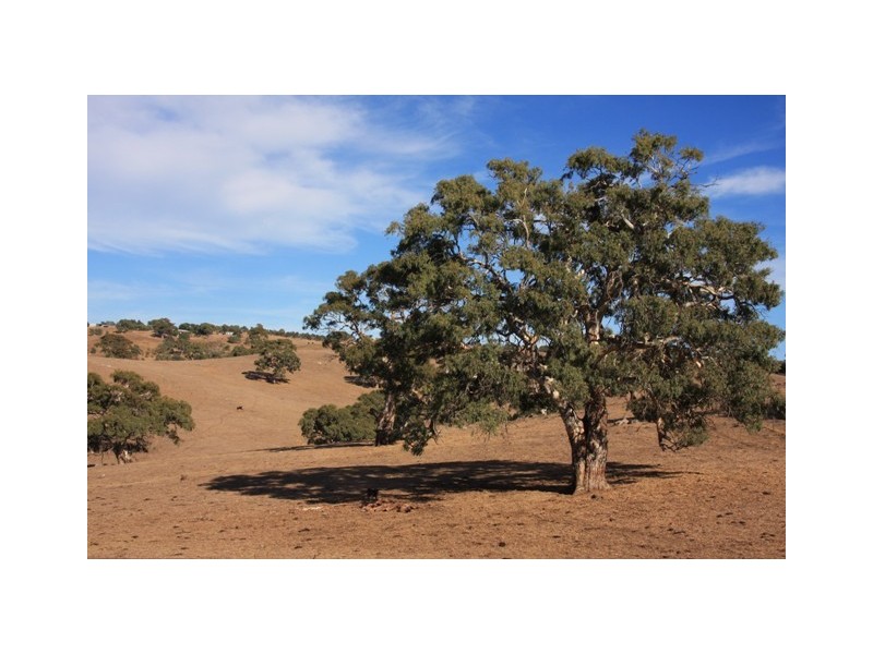 Section 1967 Military Rd, Native Valley, Dawesley SA 5252