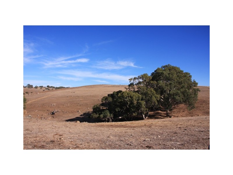 Section 1967 Military Rd, Native Valley, Dawesley SA 5252