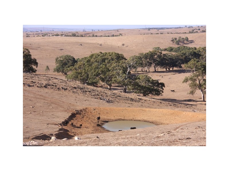 Section 1967 Military Rd, Native Valley, Dawesley SA 5252