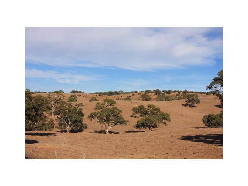 Section 1967 Military Rd, Native Valley, Dawesley SA 5252