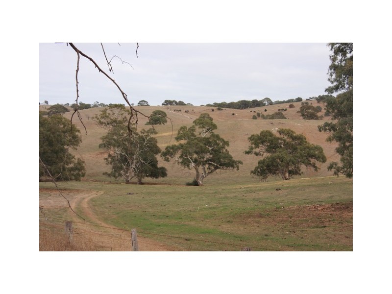 Lot 1969 Military Rd, Native Valley, Dawesley SA 5252