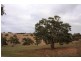Lot 1969 Military Rd, Native Valley, Dawesley SA 5252