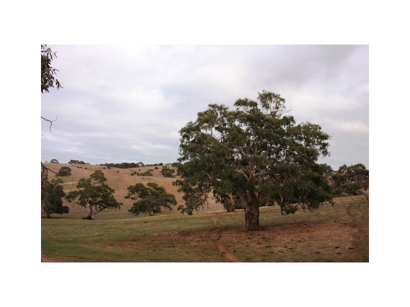 Lot 1969 Military Rd, Native Valley, Dawesley SA 5252