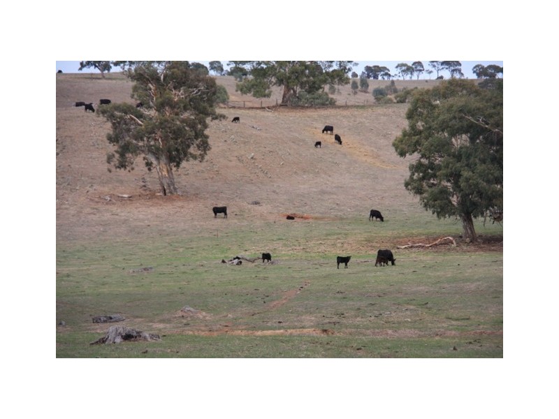 Lot 1969 Military Rd, Native Valley, Dawesley SA 5252