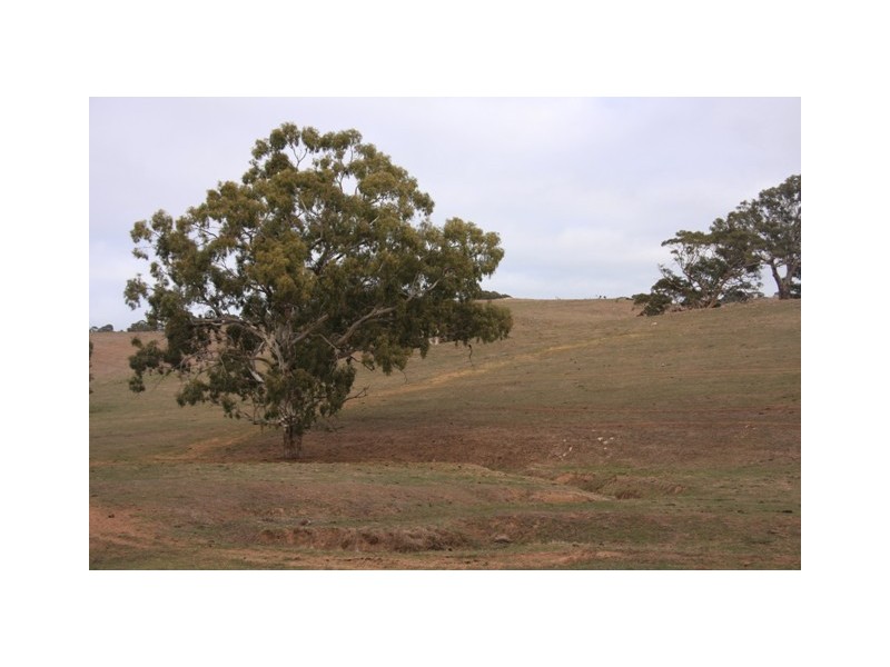 Lot 1969 Military Rd, Native Valley, Dawesley SA 5252