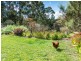 12 Pound Road, Macclesfield SA 5153