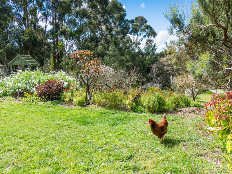 12 Pound Road, Macclesfield SA 5153