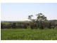 Lot 1 Klenke Road, Wistow SA 5251