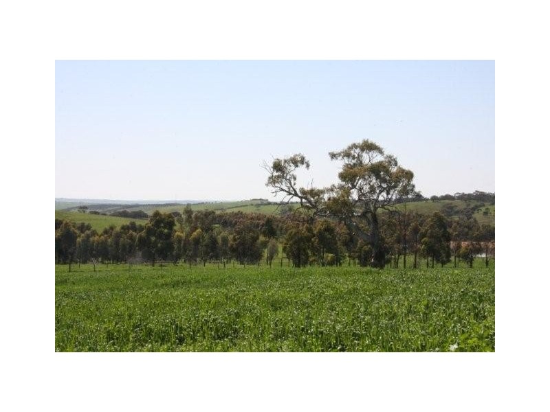 Lot 1 Klenke Road, Wistow SA 5251