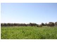 Lot 1 Klenke Road, Wistow SA 5251