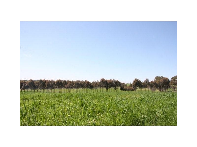 Lot 1 Klenke Road, Wistow SA 5251