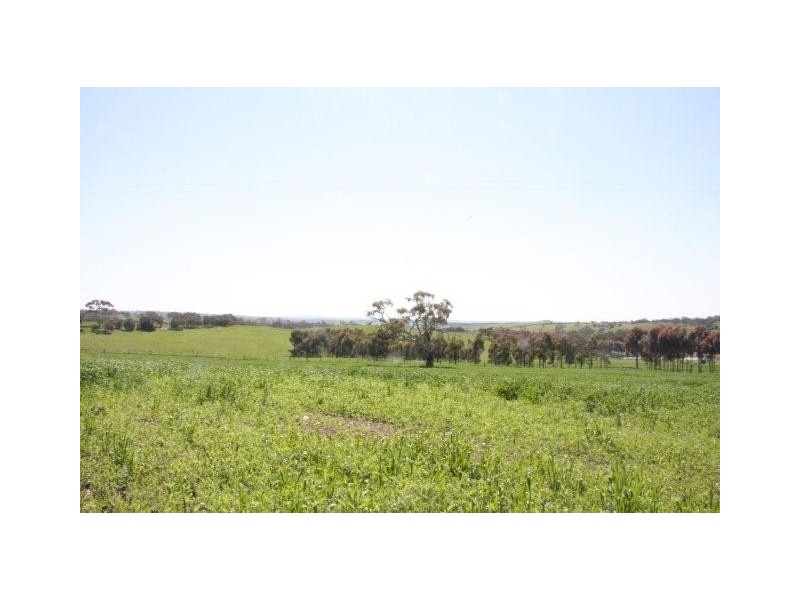 Lot 1 Klenke Road, Wistow SA 5251