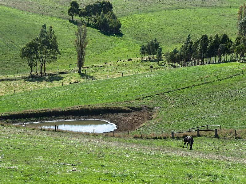 Allotment 20 Nicol Road, Meadows SA 5201