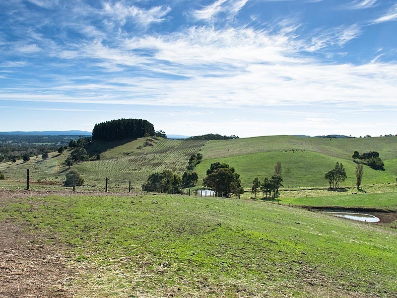Allotment 20 Nicol Road, Meadows SA 5201