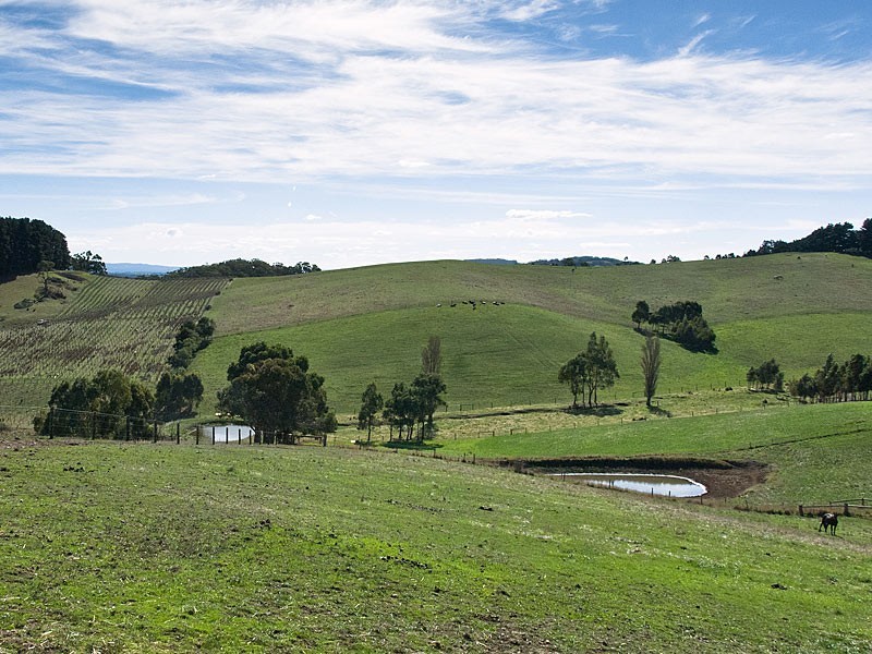 Allotment 20 Nicol Road, Meadows SA 5201