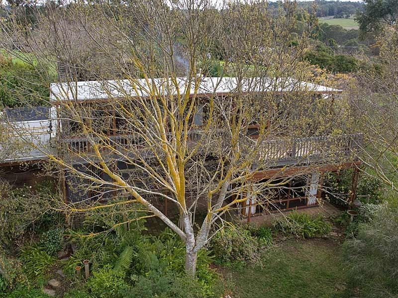 91 Swamp Road, Uraidla SA 5142