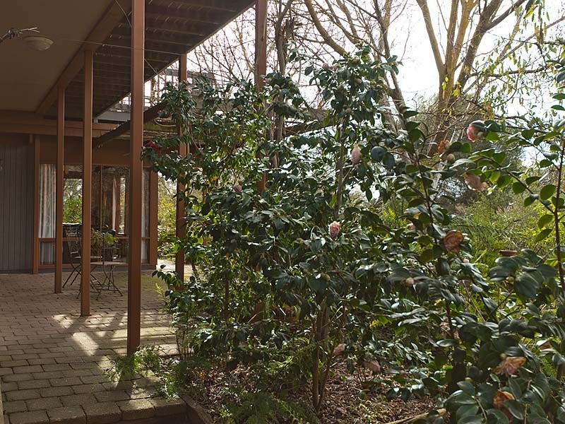 91 Swamp Road, Uraidla SA 5142