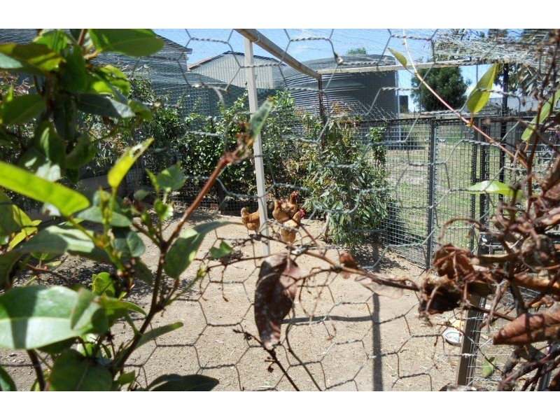 8 Tremayne Drive, Mount Barker SA 5251