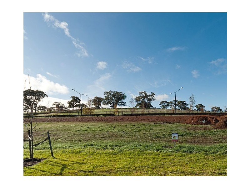 4 Carlson Street, Mount Barker SA 5251