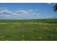 Lot 104 Thomas Cresent, Monarto South SA 5254