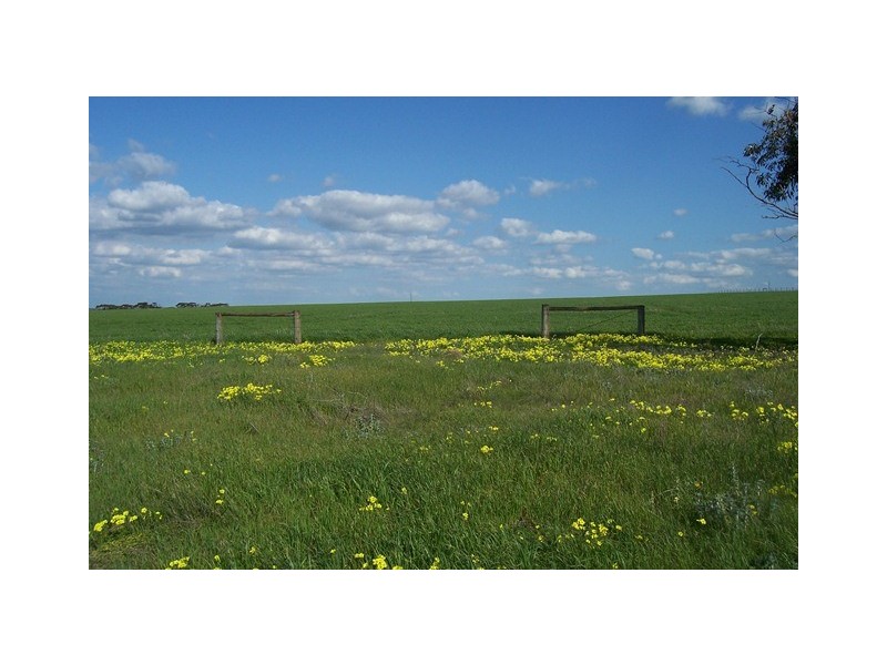 Lot 104 Thomas Cresent, Monarto South SA 5254