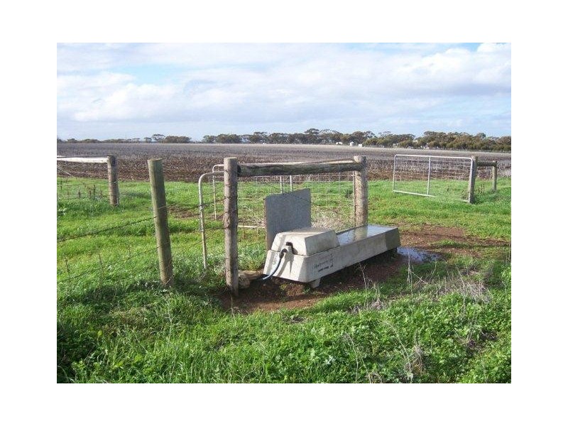 Lot 104 Thomas Cresent, Monarto South SA 5254