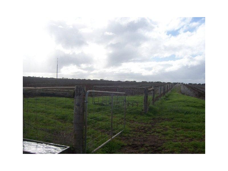Lot 104 Thomas Cresent, Monarto South SA 5254