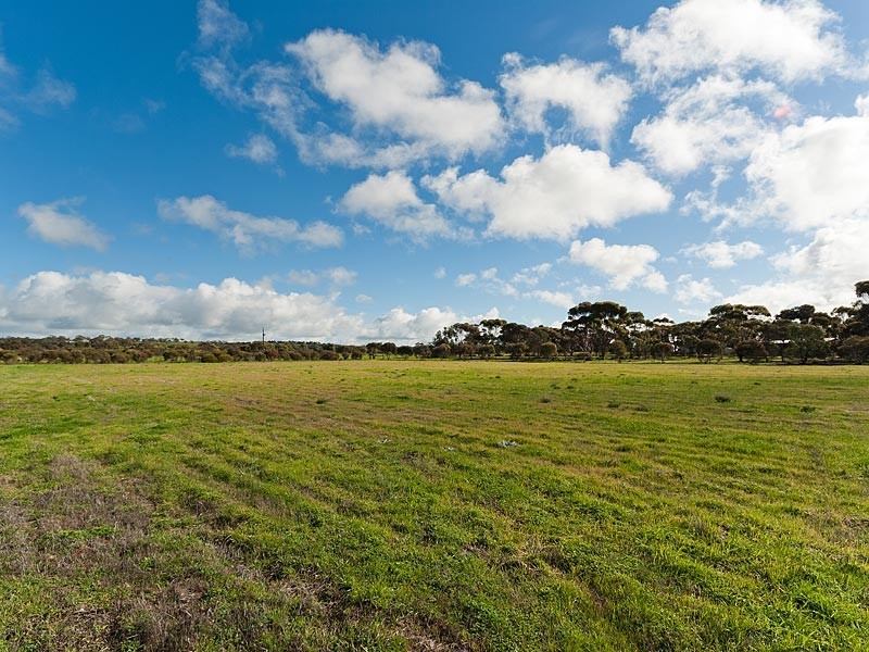 33 Schenscher Road, Monarto SA 5254