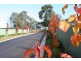 1/30 Shakes Road, Nairne SA 5252