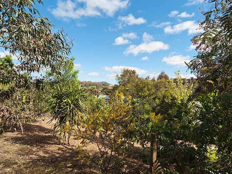 11 Preiss Close, Nairne SA 5252