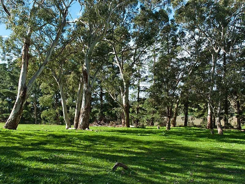 Lot 22 Shady Grove Road, Macclesfield SA 5153