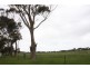 Lot 80 Langhorne Creek Road, Strathalbyn SA 5255