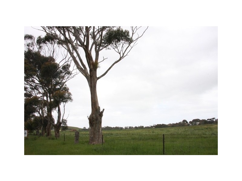 Lot 80 Langhorne Creek Road, Strathalbyn SA 5255