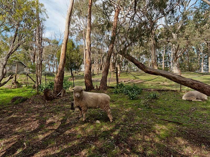 Lot 60 Charlick Road, Crafers West SA 5152