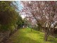 11 Allen Avenue, Mount Barker SA 5251
