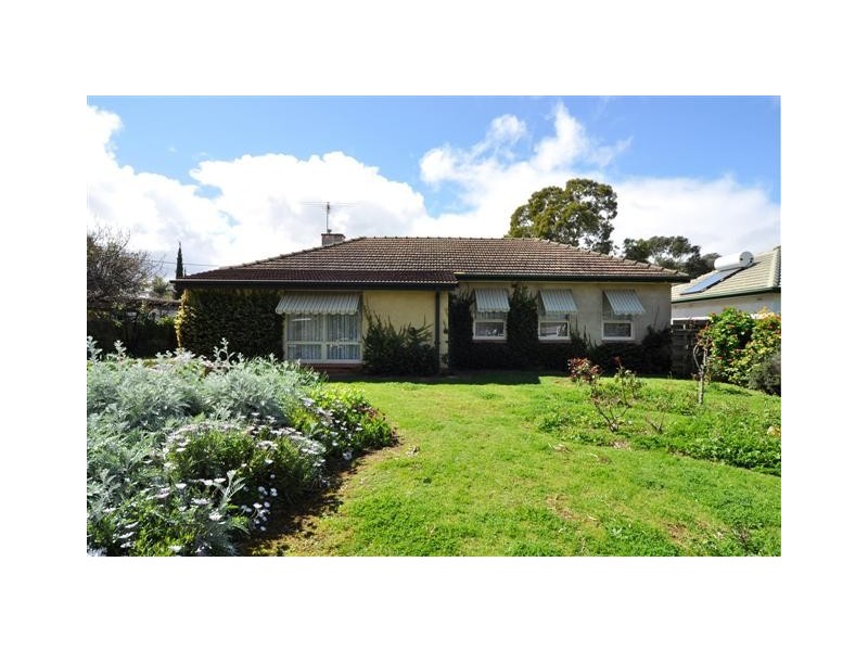 31 Pemberton Street, Oaklands Park SA 5046