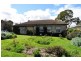 31 Pemberton Street, Oaklands Park SA 5046