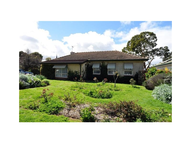 31 Pemberton Street, Oaklands Park SA 5046