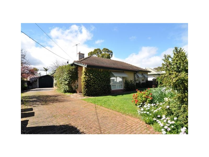 31 Pemberton Street, Oaklands Park SA 5046