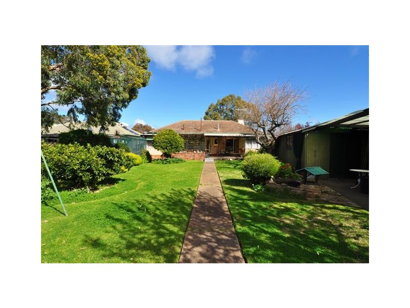 31 Pemberton Street, Oaklands Park SA 5046