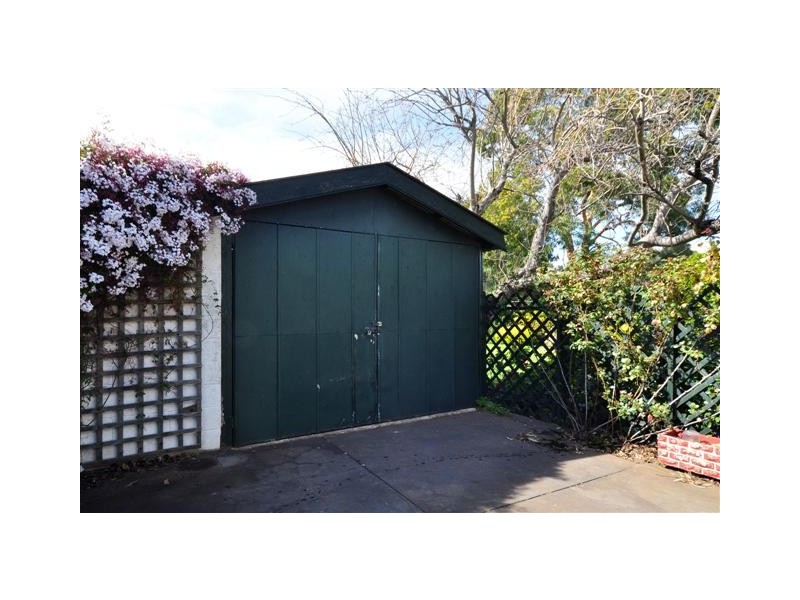 31 Pemberton Street, Oaklands Park SA 5046