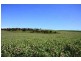 Lot 57 Burwood Road, Wistow SA 5251