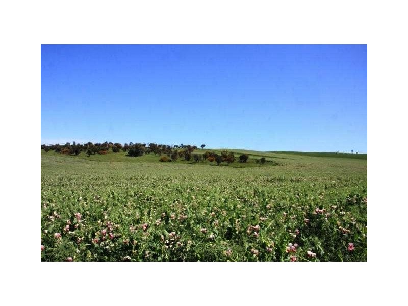 Lot 57 Burwood Road, Wistow SA 5251