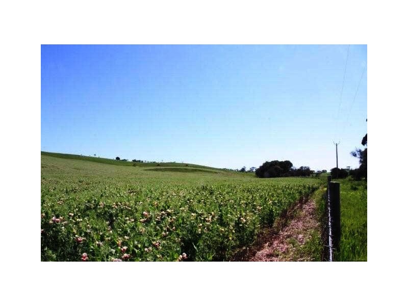 Lot 57 Burwood Road, Wistow SA 5251